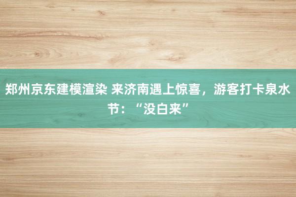 郑州京东建模渲染 来济南遇上惊喜，游客打卡泉水节：“没白来”