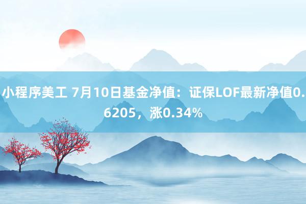 小程序美工 7月10日基金净值：证保LOF最新净值0.6205，涨0.34%